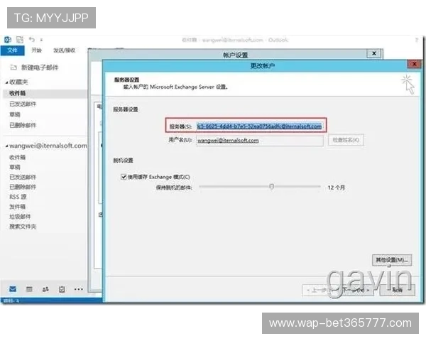 365日博在线地址官方最新版本，确保每一次登录都安全顺畅
