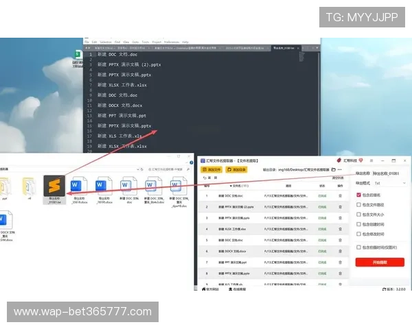 掌握365速发下载的技巧与步骤，轻松实现大文件快速传输与高效管理
